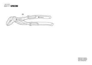 BOSCH Water Pump Pliers 250mm - 1600A02BZ7