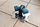 BOSCH Fliesenlaser GTL 3