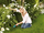BOSCH Akku-Grasschere AGS 7,2 LI