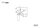 BOSCH Torx-Linsenschraube 4x20 | Ersatzteile für GBM 13-2 RE | 2603490023