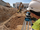 BOSCH Optisches Nivelliergerät GOL 32 D, mit Stativ BT 160, Nivellierlatte GR 500